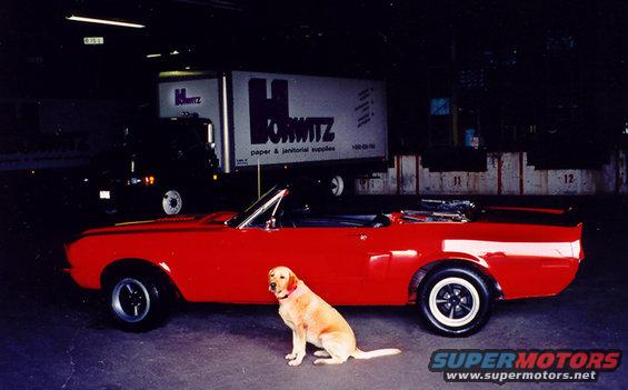 Red convertible with a dog, side view. Truck in background