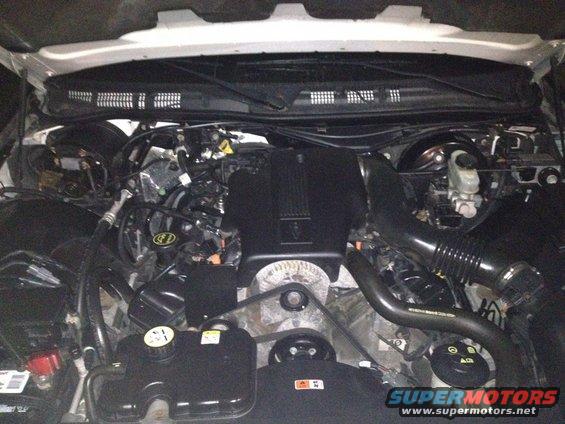 Engine bay of a 2004 Ford Crown Victoria, showing the V8 engine, air intake, and various hoses and fluids