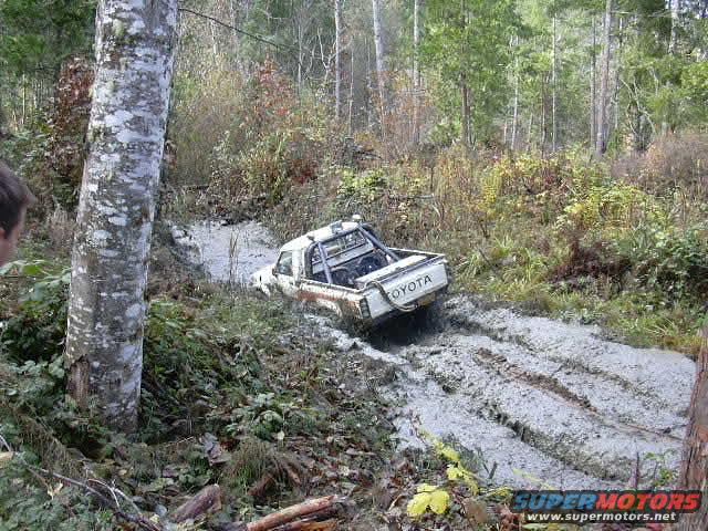 Toyota pickup truck stuck in a muddy forest trail. The rear of the truck is visible, with the word "TOYOTA" on the tailgate