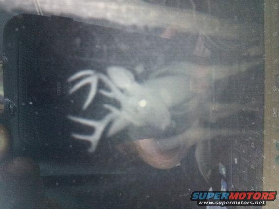 Graffiti with white lines on a dark, reflective surface