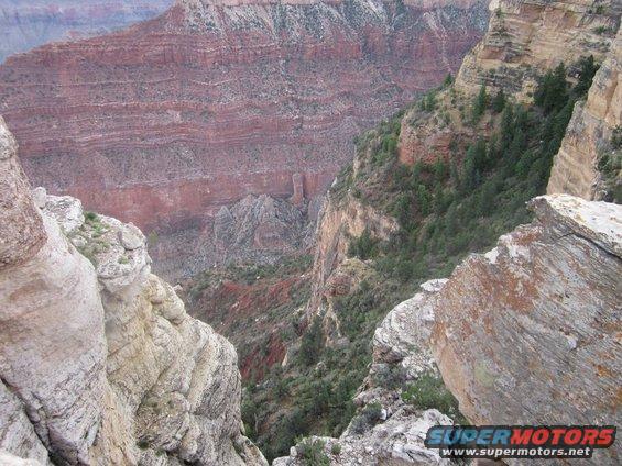 View of Grand Canyon cliffs and valley with trees