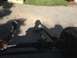 1996 Ford F-150 - dana 44 ready to go in