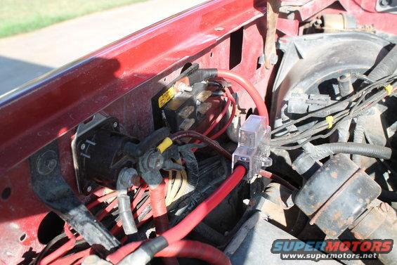 Engine bay wiring and battery terminals with red cables and a fuse holder