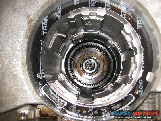 img_0553.jpg Reverse Band removed.