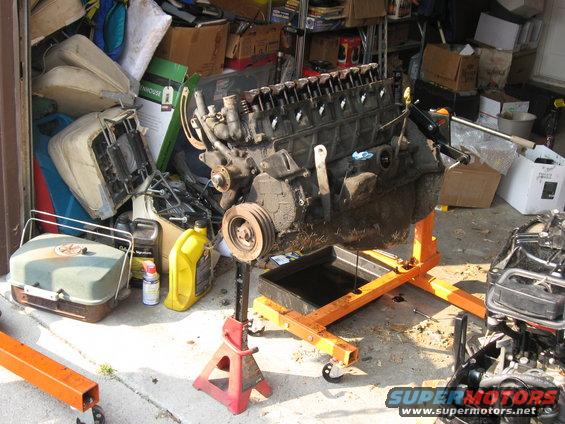 V8 engine on an orange engine stand, with a red jack stand supporting the crankshaft pulley. Oil pan is beneath the engine. Cluttered garage background