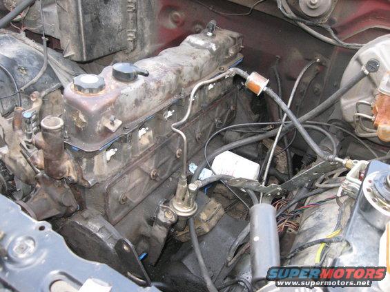 engine bay with engine parts, hoses, and wiring