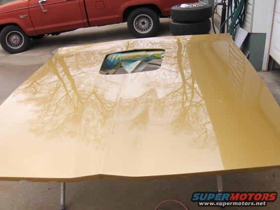 Yellow car hood with a scoop opening, resting on sawhorses. Red pickup truck and tires in background