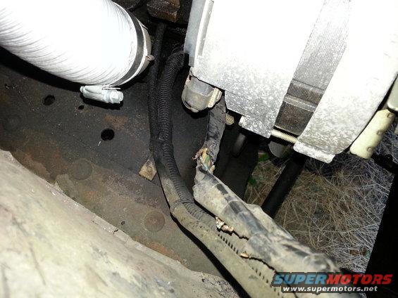 Close-up of frayed engine bay wiring harness and large hose clamp