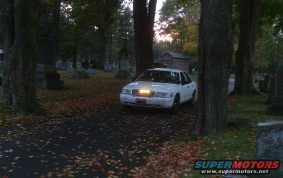 imag0252.jpg 