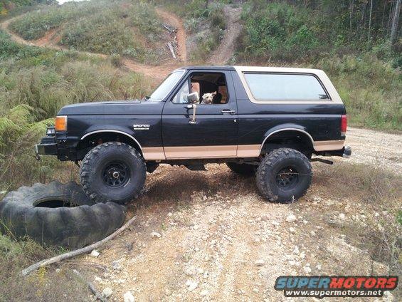 Black 1987 Ford Bronco with tan trim, lifted with large tires, parked on a dirt trail with a dog in the driver's seat