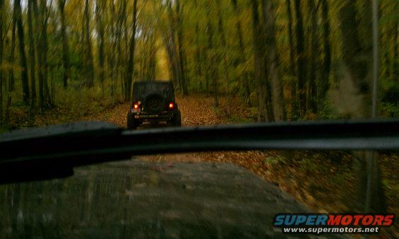Jeep driving down a tree-lined dirt road in the fall