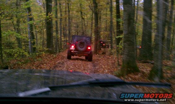Rear view of dark Jeep Wrangler on forest trail, another Jeep visible ahead