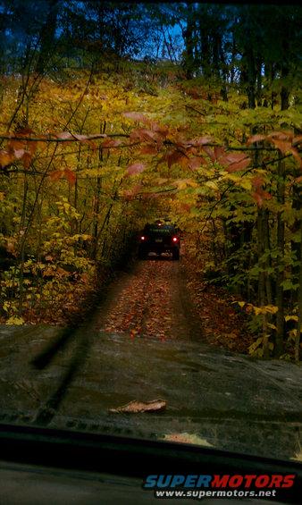 SUV driving down a leaf-covered dirt road surrounded by fall foliage