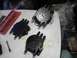1995 Ford Probe - Top - unknown disty , has existing coil plug? single harness plug Bottom - PRD disty cap w/ external coil, unknown appl…