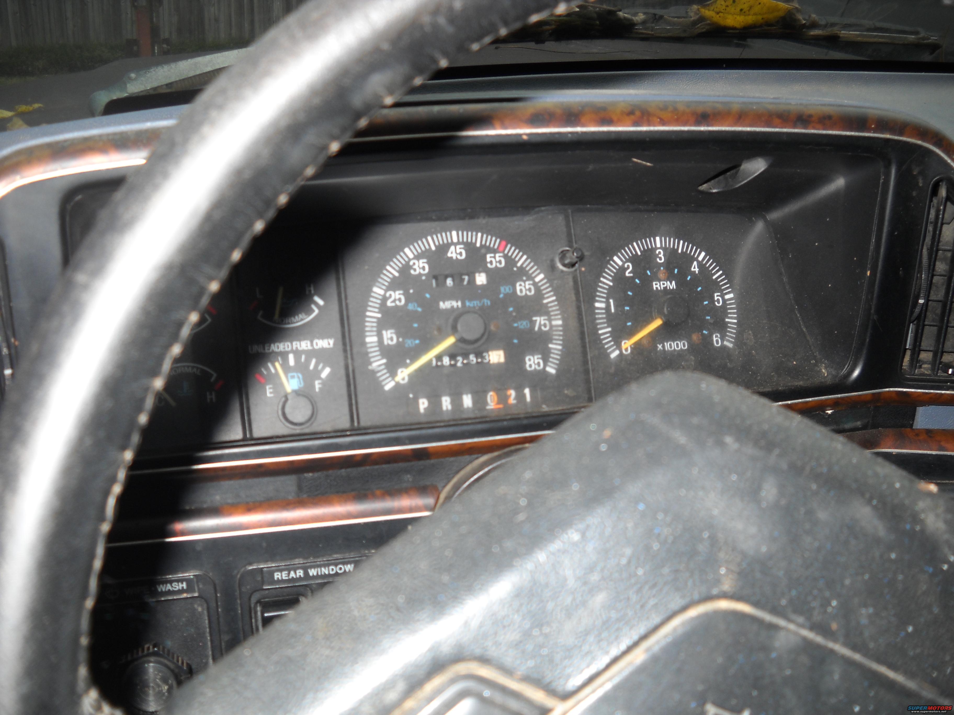 1982 Ford Bronco photo