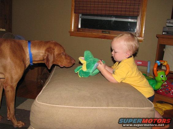 Dog and baby interact with a stuffed toy on a couch