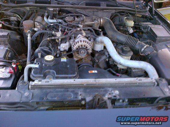 2001 Ford Crown Victoria engine bay with V8 engine, alternator, and coolant reservoir visible