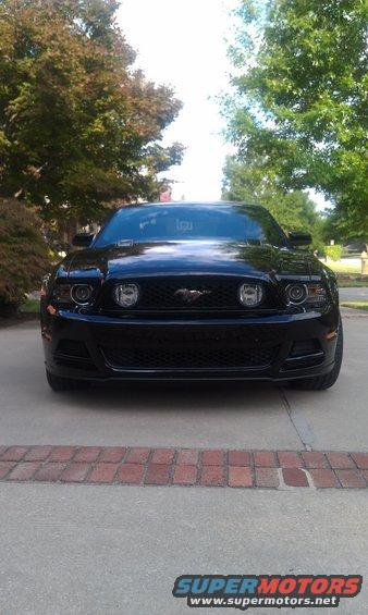 imag0337.jpg 