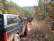 1986 Ford Bronco - A line of off-road vehicles navigates a wooded trail during an autumn excursion.