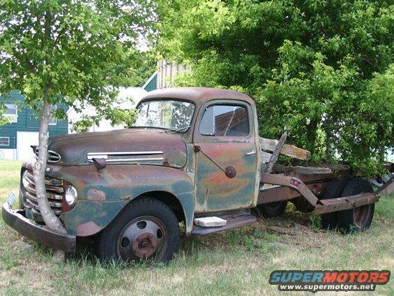 1948 Ford F5 flatbed truck with tree growing through bumper