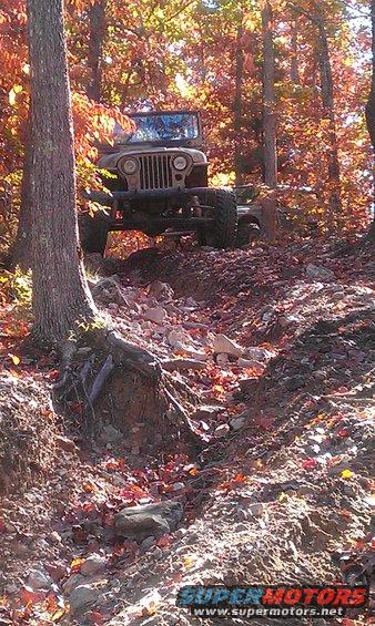 imag0559.jpg