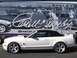 2007 Ford Mustang - White 2007 Ford Mustang GT 500 convertible with black top, parked in front of a trailer Carroll Shelby graphics.