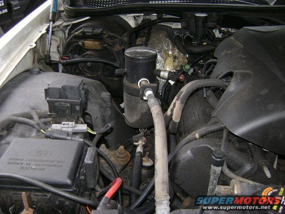 Engine bay of a white vehicle with visible hoses, wiring, and a black fuse box with Ford branding