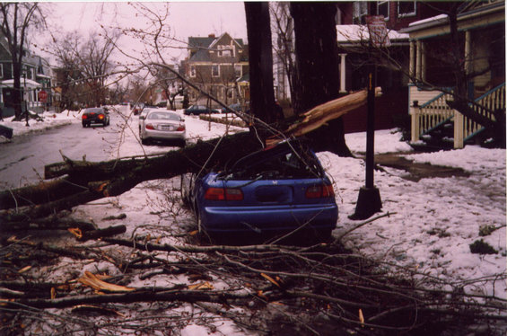 civic1.jpg This is what happens to your civic when i unleash my 88hp. 
Actually it got crushed outside my apartment last winter.