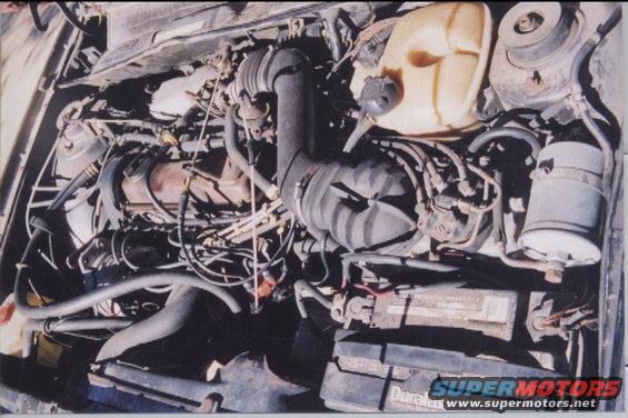 Engine bay with hoses and components visible