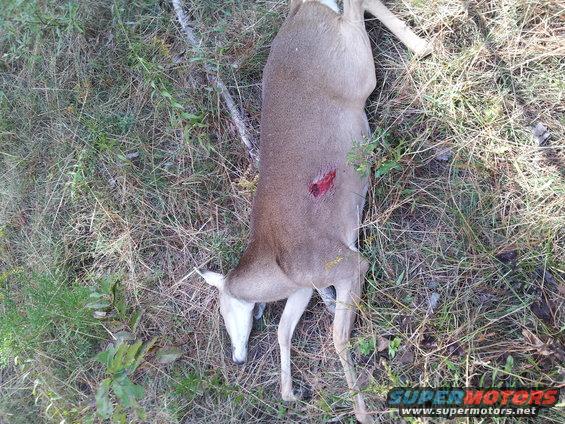 20121019_103018.jpg