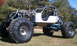 1967 Ford Mustang - This custom-built buggy does not resemble a 1967 Ford Mustang.