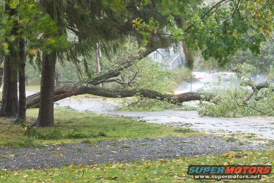 sandy-hurricane-091.jpg 