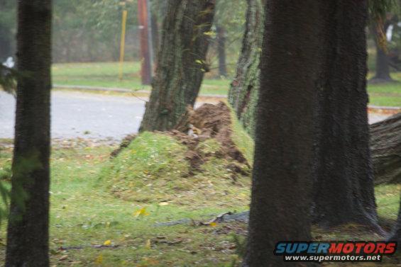 sandy-hurricane-093.jpg 