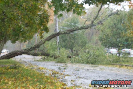 sandy-hurricane-095.jpg 