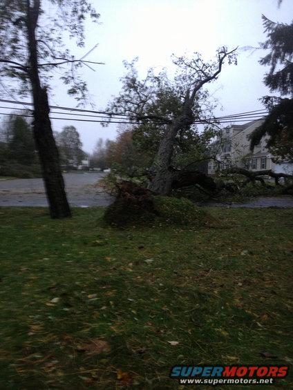 sandy-hurricane-097.jpg 