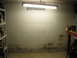 2004 Aston Martin Virage - A dimly lit basement scene with storage shelves and a workbench against a textured wall.
