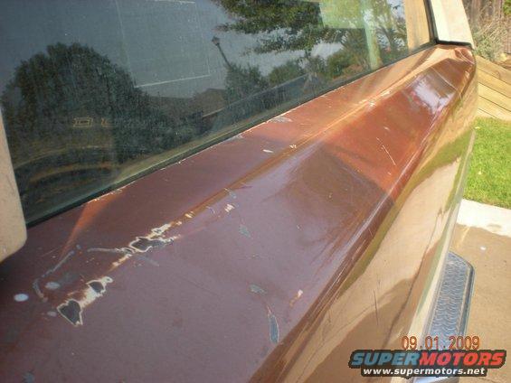 Brown SUV rear quarter panel with peeling paint and scratches, reflecting trees and sky