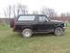 1996 Ford Bronco - A black Ford Bronco is shown from the side, parked on a grassy field with trees in the background.