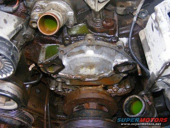 Engine water pump assembly with green coolant visible in hoses and around the pump housing. Pulleys and belts are also visible