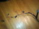 1990 Ford Bronco - A wiring harness with several connectors and red and black wires is shown on a wooden surface.