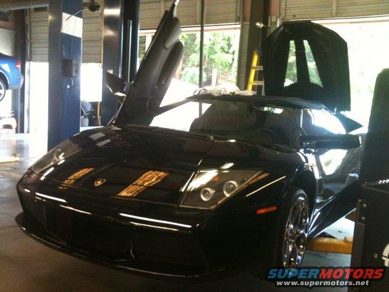 Black Lamborghini with doors up in a garage, a blue car is on a lift in the background