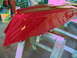 1970 Ford Mustang - A freshly painted red car fender rests on sawhorses in a workshop.