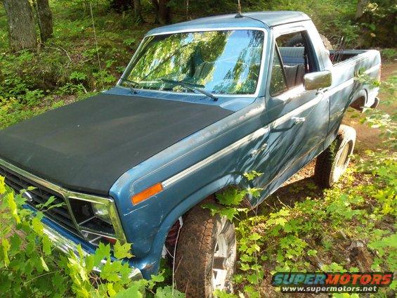 Blue pickup truck with black hood parked off-road