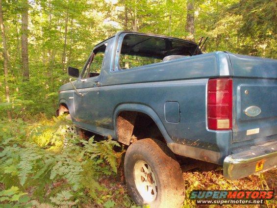 1985 Ford Bronco parked in woods, rear quarter panel visible
