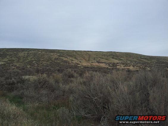 Overcast sky above a grassy, brush-covered hill with tire tracks visible on the slope