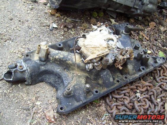This is a carb and intake taken from a Bronco I "found" hiding in the woods off of Covington Pike a few years ago, Just thoguht it was a fun picture because I thought that was a blob of mud that had bee driven into the intake by the truck having been drug through the mud upside down.