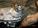 1995 Jeep Wrangler - Close-up view of a vehicle's transfer case and driveshaft connection, alongside a catalytic converter.