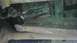 IMAG0152.jpg
