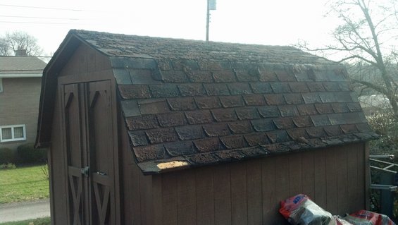 20121201_093330_468.jpg