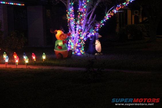Inflatable reindeer and penguin decorations on a lawn at night, with a tree wrapped in colorful lights